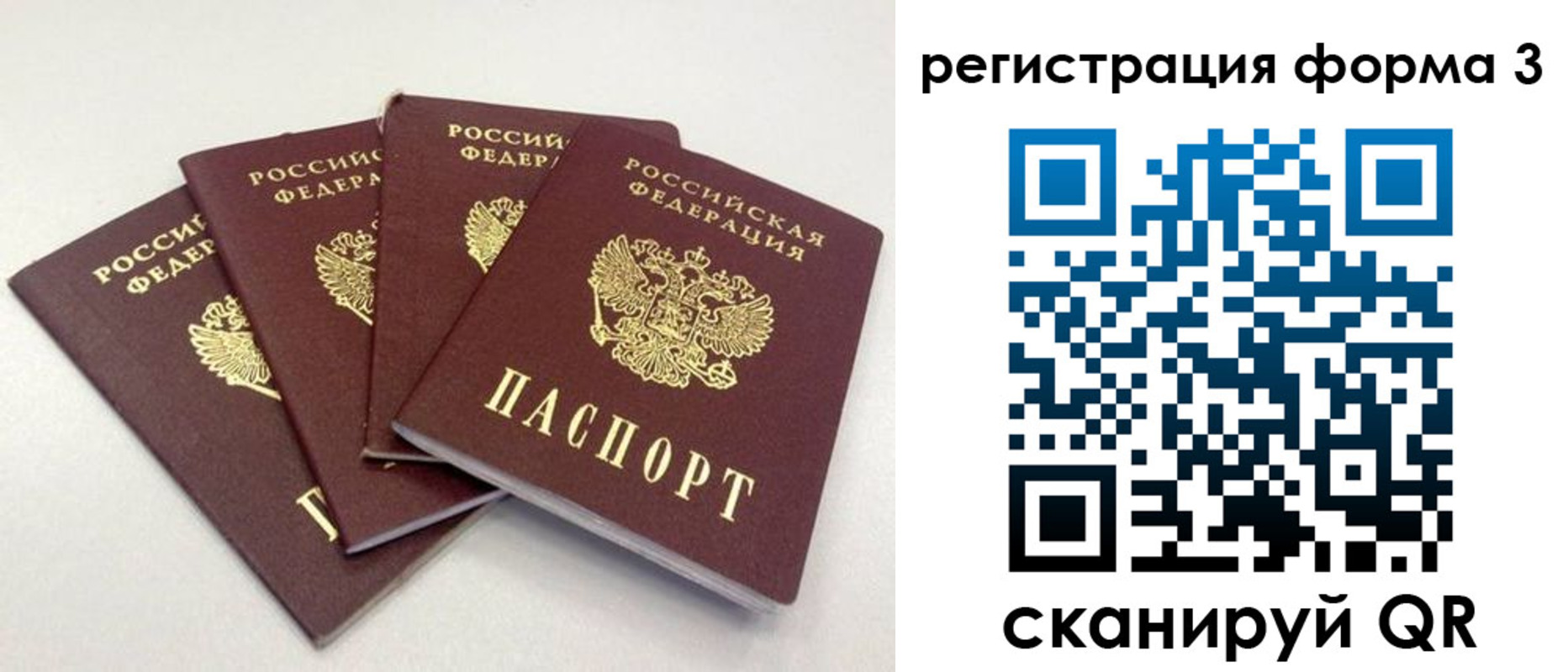 прописка 2025 в Щиграх